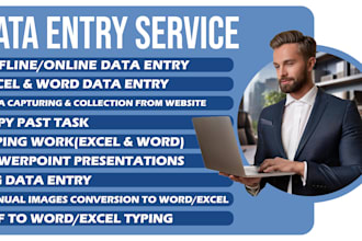 be your virtual assistant for data entry, copy paste, web research, excel data e