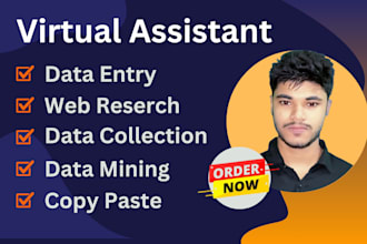 be your professional virtual assistant and data entry