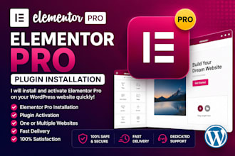 install elementor pro licensed auto update