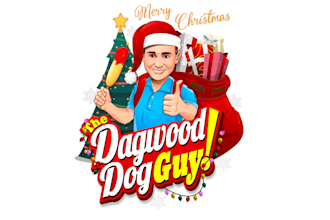 design wonderful merry christmas logo