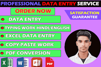 do excel data entry, hindi english typing, copy past, i am an expert in excel