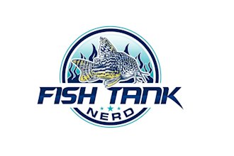 make an amazing modern fish tank logo design in one day