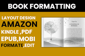 do book formatting and layout design on indesign