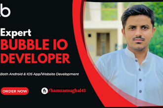 build saas mvp in bubble io with API integration