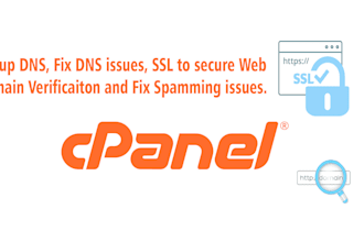 fix email, cpanel, webmin, whm, dns, mysql, stop spam issues