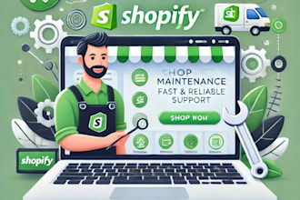 provide ongoing shopify support maintenance for your store