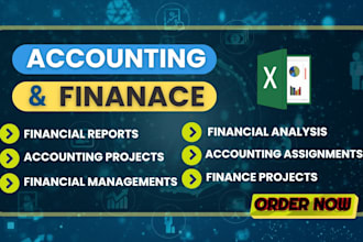complete accounting and finance assignment, financial reporting and excel tasks