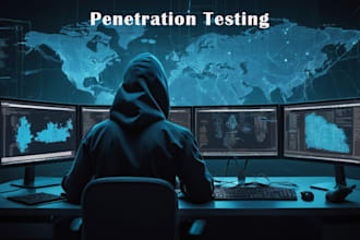 perform penetration test your website