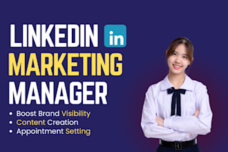 be your linkedin marketing manager, b2b b2c appointment setter