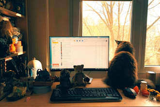 write quality content as a licensed veterinary technician