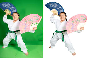 professional background removal, green screen remove, cut out images