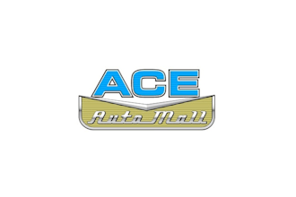 make wordmark ace auto mall logo