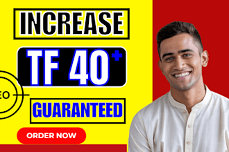 boost your websites trust flow to 40 for seo growth