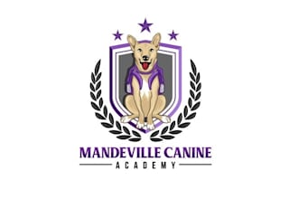 design unique canine training logo