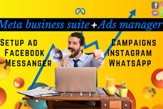 setup meta business suite and professional ad campaigns