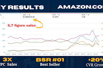 manage your 7 to 8 figure amazon PPC ads campaigns