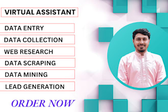 do data entry, data collection, email collection, data scrape and web research