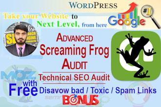 run screaming frog technical SEO audit report and website analysis
