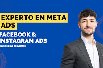 crearé y optimizaré anuncios en facebook e instagram