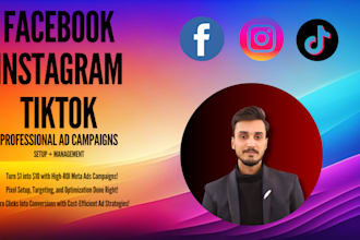 run profitable facebook and instagram ads, manage meta perfect target campaigns
