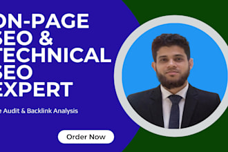 do onpage SEO website audit and backlink analysis