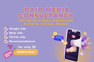 provide expert consultancy to review and optimize your paid media campaigns