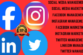 be your social media management expert, linkedin manager and marketer