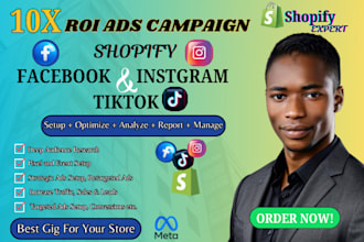 do facebook ads campaign manager instagram ads tiktok ads shopify fb advertising