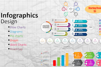 design professional infographics, flow charts, diagram