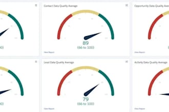 customize your salesforce reports, dashboard, and data scrubbing