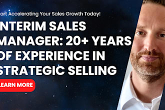 be your interim b2b sales manager