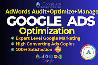 audit and optimize google ads adwords search ads PPC campaigns as SEM expert pro