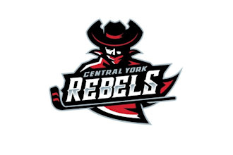 create unique hockey team logo