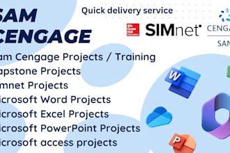 expertly solve your all excel, sam cengage capstone projects