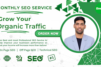 do complete monthly SEO service to boost organic traffic