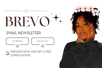 brevo email newsletter design mailerlite beehive stripo klaviyo