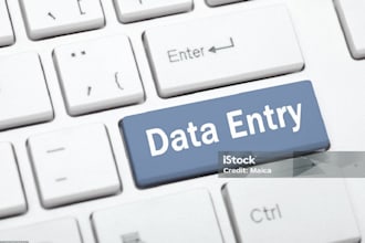 do data entry copy paste  web research remote work for you only