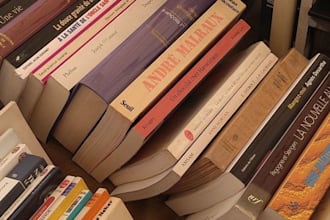 beta read your fiction book and provide honest feedback