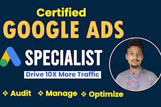 audit and optimize google ads adwords PPC campaign and pmax campaigns