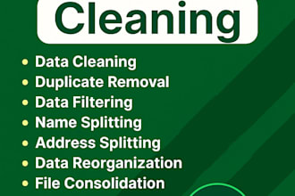 be your excel expert for data cleanup and formatting