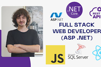 develop any type of asp dot net application and API
