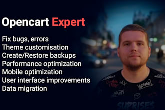 your trusted expert in bug fixing or customization opencart
