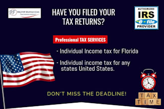 prepare your individual or business taxes