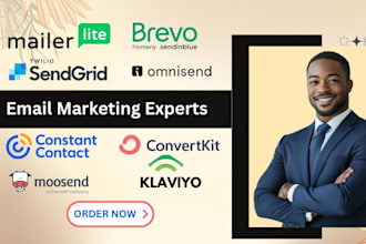mailchimp mailerlite convertkit sendinblue brevo klaviyo email marketing expert