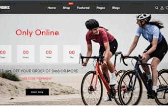 design bicycle shopify bike rental store skate website bicycle parts store