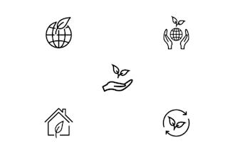 design amazing custom line icon set for the app and website
