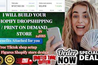set up shopify dropshipping store, design redesign shopify website autods