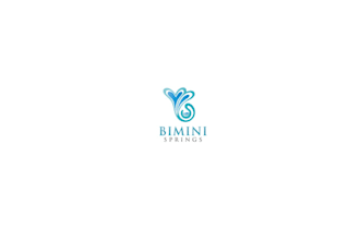 make consulting exclusive water company logo
