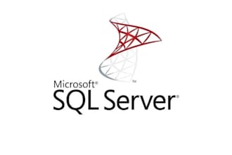 offer sql server performance tuning at competitive prices