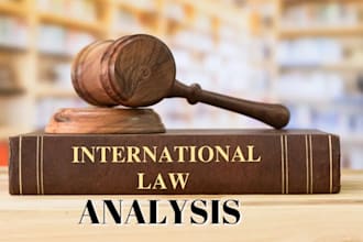 conduct analysis on international law and organizations